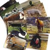 Stages Learning Materials Farm Animal Real Life Learning Poster Set, Set of 10 SLM-152